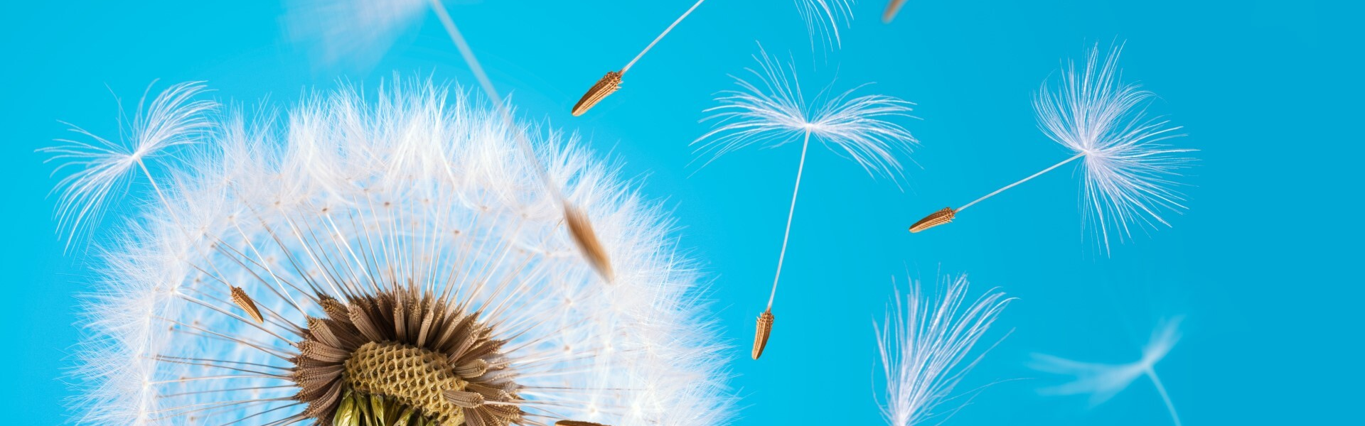 Frische Lieder im Herbst